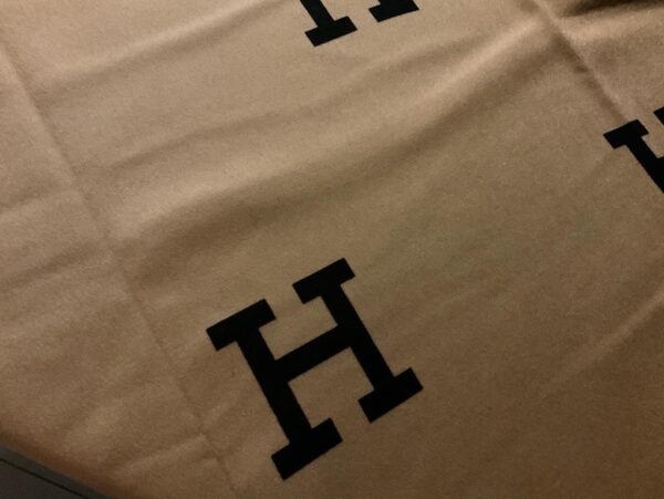 Hermes Cashmere Wool fabric